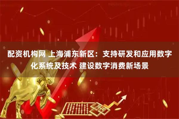 配资机构网 上海浦东新区：支持研发和应用数字化系统及技术 建设数字消费新场景