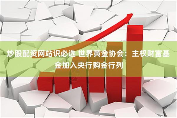 炒股配资网站识必选 世界黄金协会：主权财富基金加入央行购金行列